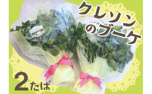 大槌町金澤産クレソン10束（700g）を、２つの花束にアレンジしてお届けします。