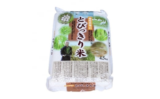 美味しいお米食べて見ませんか？茨城県産コシヒカリ玄米30㎏ - その他