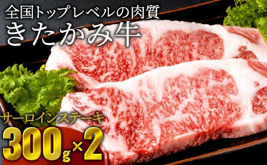 北の上質な牛肉 【きたかみ牛】 サーロインステーキ  約300g×2セット