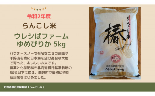 らんこし米 ゆめぴりか ５ｋｇ ウレシぱファーム 北海道蘭越町 ふるさと納税 ふるさとチョイス