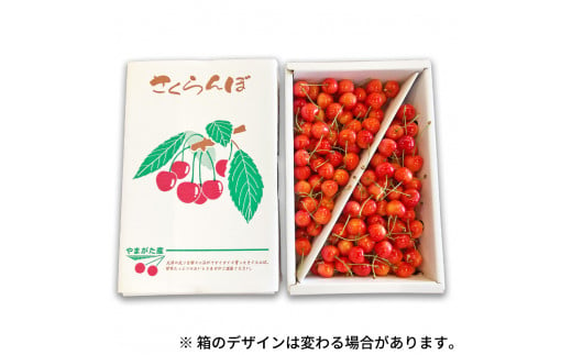 先行予約 さくらんぼ 佐藤錦 赤秀 M玉 1kg バラ詰 ご家庭用 2024年産 令和六年産 山形県産 mm-snamx1000