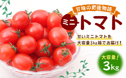 甘味の肥後物語 ミニトマト 大容量 3kg 箱 熊本県八代市 ふるさと納税 ふるさとチョイス