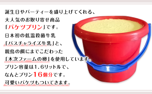 誕生日やパーティーに大人気のお取り寄せ バケツプリン 島根県雲南市 ふるさと納税 ふるさとチョイス