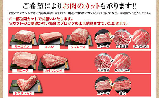 定期便 圧巻の塊肉 おうちで肉フェス ブロック肉6種 岩手県矢巾町 ふるさと納税 ふるさとチョイス