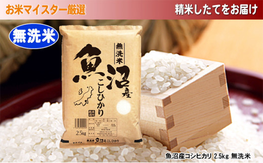 5762 0272 令和2年産 お米マイスター厳選 魚沼産コシヒカリ 無洗米 2 5kg 新潟県魚沼市 ふるさと納税 ふるさとチョイス