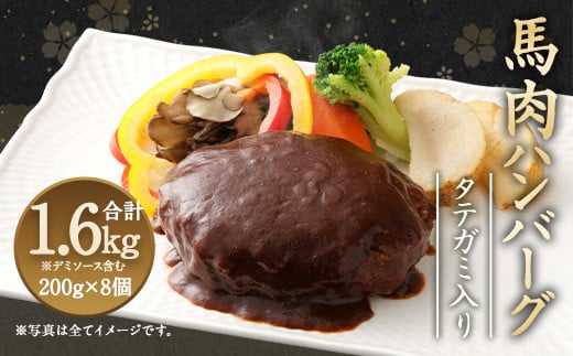 タテガミ 入り 馬肉 ハンバーグ (デミソース含む) 200g×8個 257466 - 熊本県上天草市