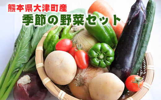 熊本県大津町産 季節の野菜セット(6〜8種類) [60日以内に出荷予定(土日祝除く)] 野菜 冷蔵 JA菊池 大津中央支所 とれたて市場