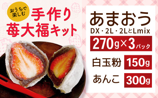 03 あまおう大福手作りキット 22年1月 4月発送予定 福岡県大木町 ふるさと納税 ふるさとチョイス