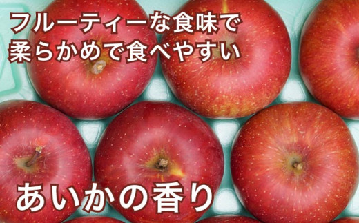 H 小玉りんご ジュースセット あいかの香り 長野県小布施町 ふるさと納税 ふるさとチョイス