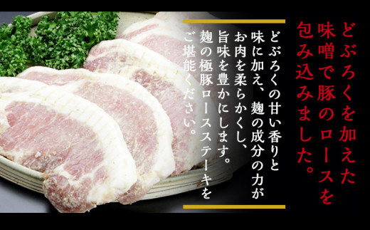 麹の極豚ロースステーキ100g 6枚 3301 宮崎県都城市 ふるさと納税 ふるさとチョイス