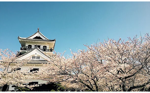 「いづ喜」は、春には桜など、一年中花が咲き誇る「城山公園」に隣接しています。観光の際の食事処として是非ご利用ください。
