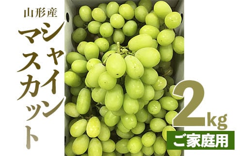 Fs19 485 令和4年産先行予約 シャインマスカット 2kg入り ご家庭用 山形県山形市 ふるさと納税 ふるさとチョイス