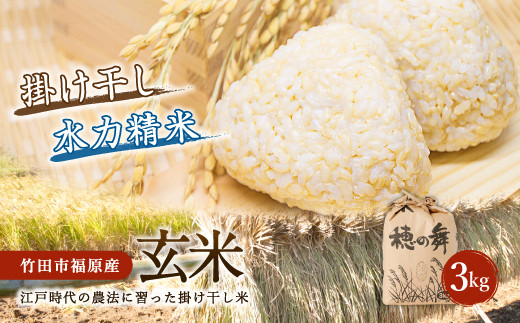 【玄米9kg】2022年収穫大分県竹田市産ヒノヒカリ玄米9kg