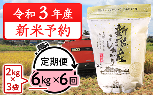 31 066 6ヶ月連続お届け 新潟県産コシヒカリ6kg 2kg 3袋 新潟県胎内市 ふるさと納税 ふるさとチョイス