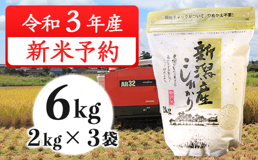 31-01新潟県産コシヒカリ6kg(2kg×3袋)