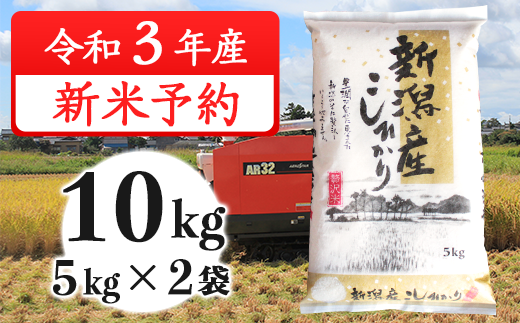 31 07新潟県産コシヒカリ10kg 5kg 2袋 新潟県胎内市 ふるさと納税 ふるさとチョイス