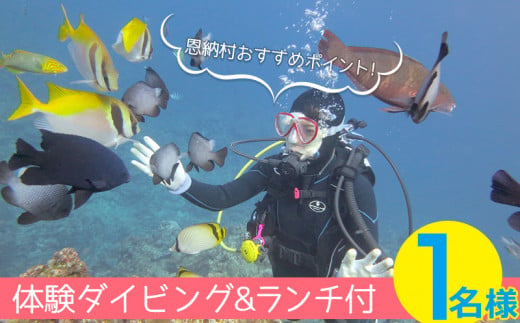 恩納村おすすめポイント 体験ダイビング １dive ランチ付き 1名様 沖縄県恩納村 ふるさと納税 ふるさとチョイス