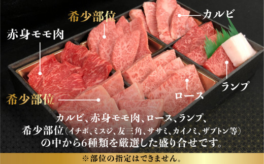 飛騨牛 焼肉 6種食べ比べ セット 600g(100g×6） 希少部位 A5 5等級 盛り合わせ 黒毛和牛 和牛 個包装 ［c536］