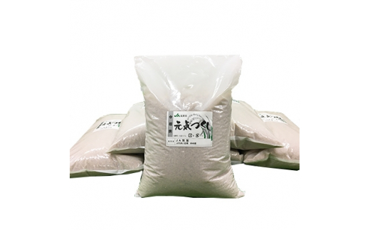 元気つくし　玄米30kg【1049034】 224622 - 福岡県大野城市