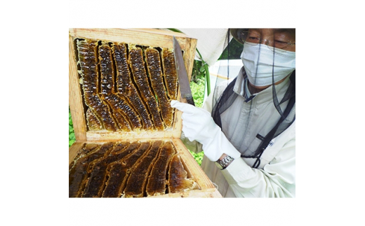 日本ミツバチ 巣蜜 約300g 和蜂巣蜜の ハチミツ - 福岡県嘉麻市