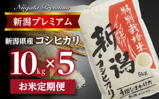 【令和6年産】『定期便』新潟プレミアム 特別栽培米 コシヒカリ 白米10kg × 5か月 FC090010 373226 - 新潟県燕市