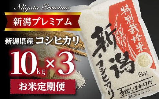 【令和6年産】『定期便』新潟プレミアム 特別栽培米 コシヒカリ 白米10kg × 3か月 FC057009 373227 - 新潟県燕市