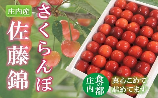 ★先行予約★食の都庄内　【令和7年産】庄内のさくらんぼ「佐藤錦」手詰め約300g