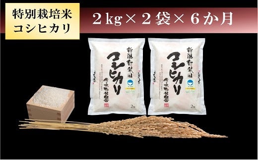 D19 令和３年産 定期便 特別栽培米コシヒカリ ２ 2袋 ６ヵ月 新潟県新発田市産 新発田市新発田市 ふるさと納税 ふるさとチョイス