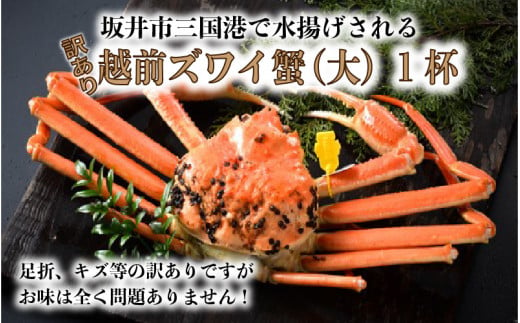 訳あり越前ズワイ蟹 大 1杯 G 1602 福井県坂井市 ふるさと納税 ふるさとチョイス