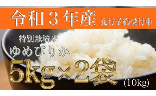 A116 先行予約 令和３年産たかすタロファームゆめぴりか ゆめぴりか白米 5kg ２袋 北海道鷹栖町 ふるさと納税 ふるさとチョイス