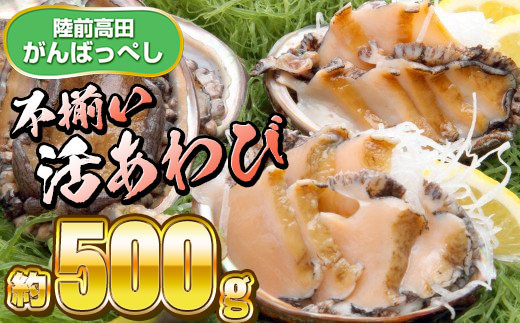 広田湾漁協からお届け 不揃いの活あわび 約500ｇ 期日指定不可 岩手県陸前高田市 ふるさと納税 ふるさとチョイス