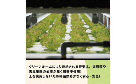 10-03 植物工場産野菜・お徳用12セット（１年契約）１セット×１２回