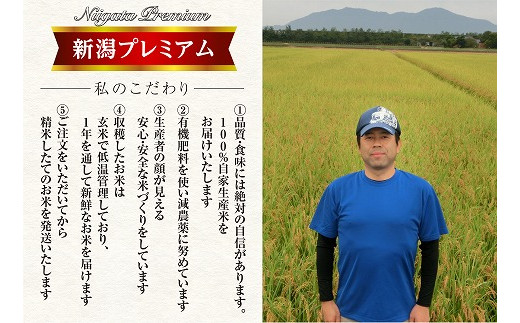 特別栽培米 精米20kg 減農薬 有機肥料 令和2年 新米プレミアムコシヒカリ