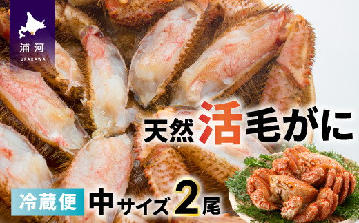 「活」の状態でお届けしますので、茹でて食べるのはもちろん、お刺身や鍋の具材としてもおすすめです!※画像はイメージです※