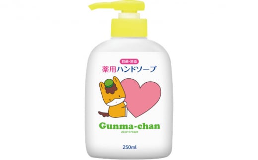 5855 0123 ぐんまちゃん薬用ハンドソープ本体 250ml 24個入り 群馬県板倉町 ふるさと納税 ふるさとチョイス