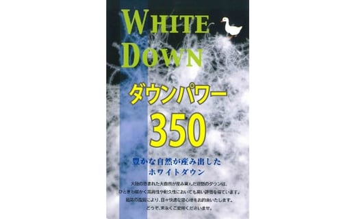 【数量限定・訳あり】【肌掛け布団】羽毛肌掛け布団　ホワイトダウン８５％使用（シングル：１５０ｃｍｘ２１０ｃｍ）【サンモト】｜色柄お任せ ワケあり  羽毛布団 掛け布団 訳アリ 羽毛ふとん 緊急支援