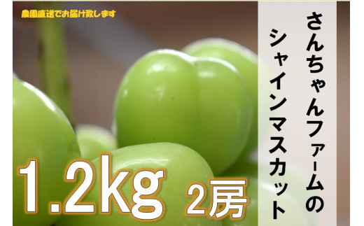 写真はイメージとなります。