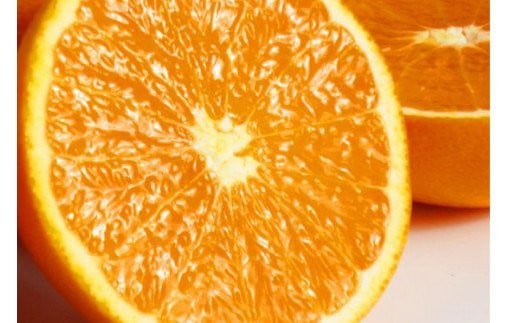 【予約】【ジューシー】清見オレンジ 5kg　※2025年3月下旬〜2025年4月中旬頃に順次発送予定（お届け日指定不可） 858349 - 和歌山県太地町