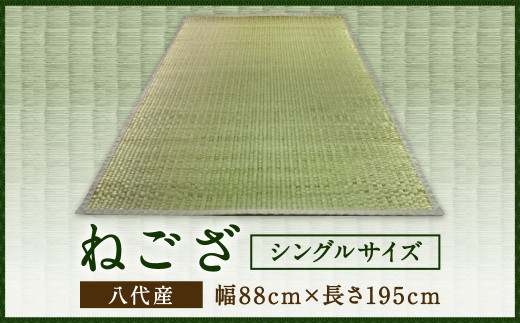 シングル ねござ 幅 長195 寝ござ い草 熊本県八代市 ふるさと納税 ふるさとチョイス