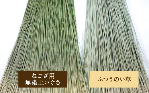 広幅 ねござ 幅107cm×長195cm 寝ござ い草