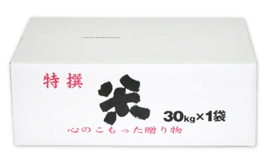 令和2年産 八代市産 玄米 ピカマル 30kg 熊本県八代市 ふるさと納税 ふるさとチョイス