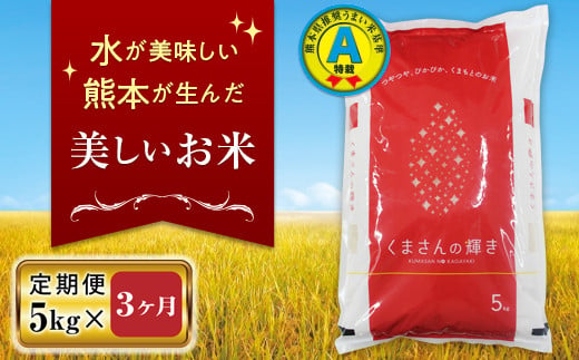 FKK19-136 【3ヵ月定期便】特別栽培米「くまさんの輝き」5kg 323782 - 熊本県嘉島町
