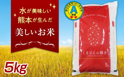 FKK19-135 特別栽培米「くまさんの輝き」5kg 323781 - 熊本県嘉島町