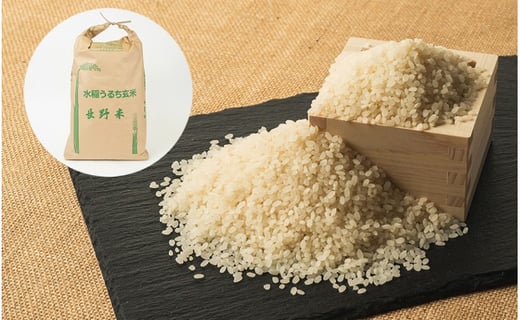 平成30年 あきたこまち 25kg 白米 未検査米 - 米/穀物