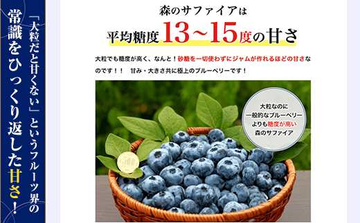 J0603 Llサイズ 冷凍ブルーベリープレミアム500g 長野県長野市 ふるさと納税 ふるさとチョイス