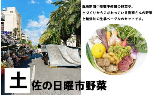 4回定期便 野菜屋高知のふるさとセット 生姜ベーグルと旬の野菜セット 高知県高知市 ふるさと納税 ふるさとチョイス