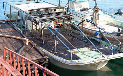 「もぐり船」と呼ばれる海苔の収穫船