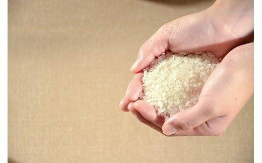 新米【精米後１５ｋｇ】令和４年度三重県産コシヒカリ！精米したてが美味しいお米！