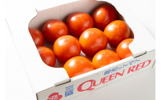 水耕栽培トマト詰め合わせ 愛知県岩倉市 ふるさと納税 ふるさとチョイス