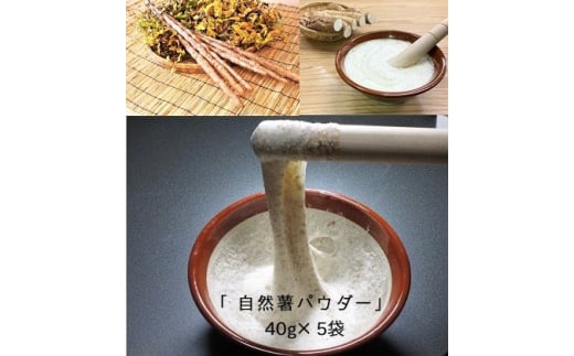 自然薯をおろさなくていいんです！自然薯パウダー 40g×5袋 水で溶いて手軽に召し上がれるフリーズドライの粉末 [0203] 258300 - 神奈川県伊勢原市